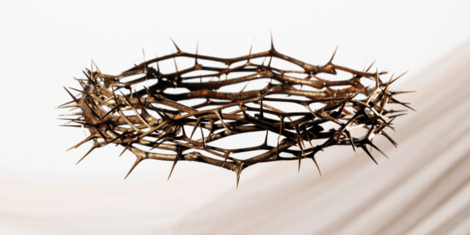 uma imagem de uma coroa de espinhos como a de Jesus Cristo simbolizando a quaresma